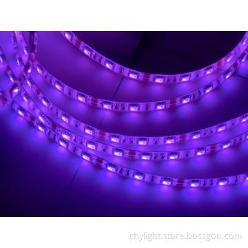 Purple Color Pixel LED Strip